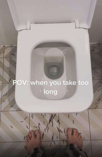 Tak lama kemudian muncul ratusan, bahkan ribuan makhluk kecil dari bawah toilet.