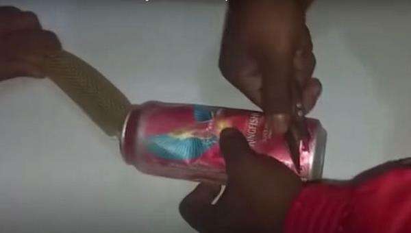 Petugas membuat lubang agar ular kobra bisa bernapas.