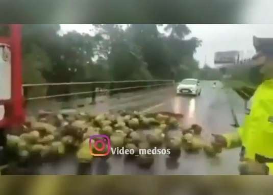 Video Viral