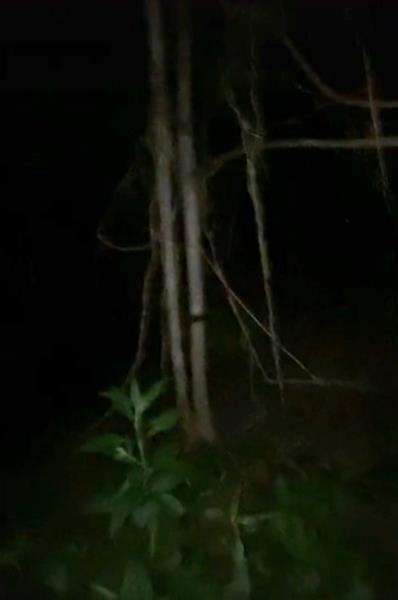 Seram, masak mi instan jam satu malam di tengah hutan.