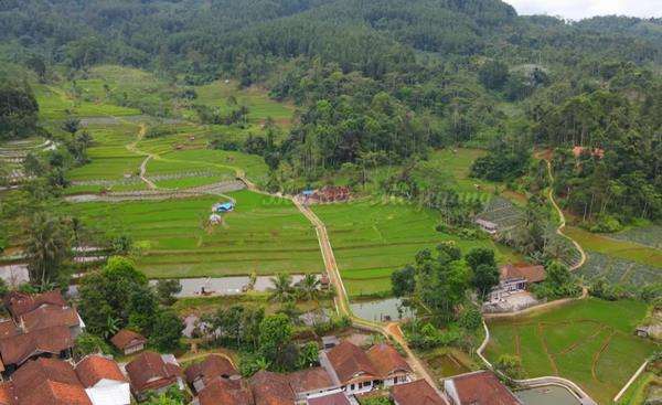 Sebagian masih menyisakan sawah untuk digarap.