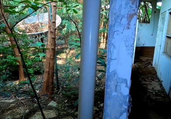 Parabola di kebun belakang rumah kosong terbengkalai di Jakarta.