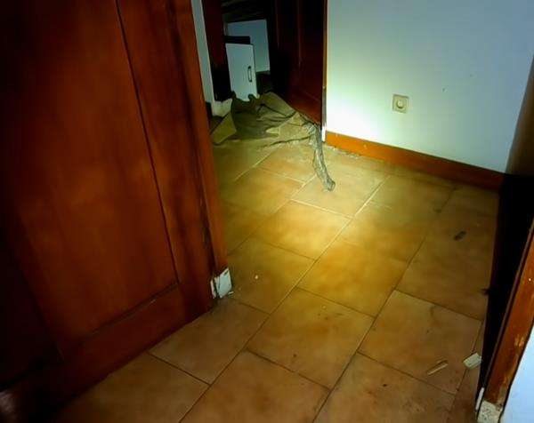 Tampak seonggok kulit ular di kamar mandi rumah kosong terbengkalai di Jakarta.