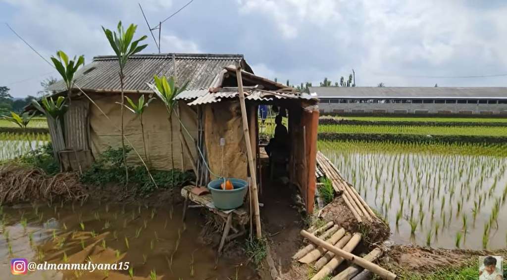 kakek kaya tinggal di gubuk