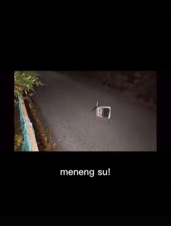 Video Viral