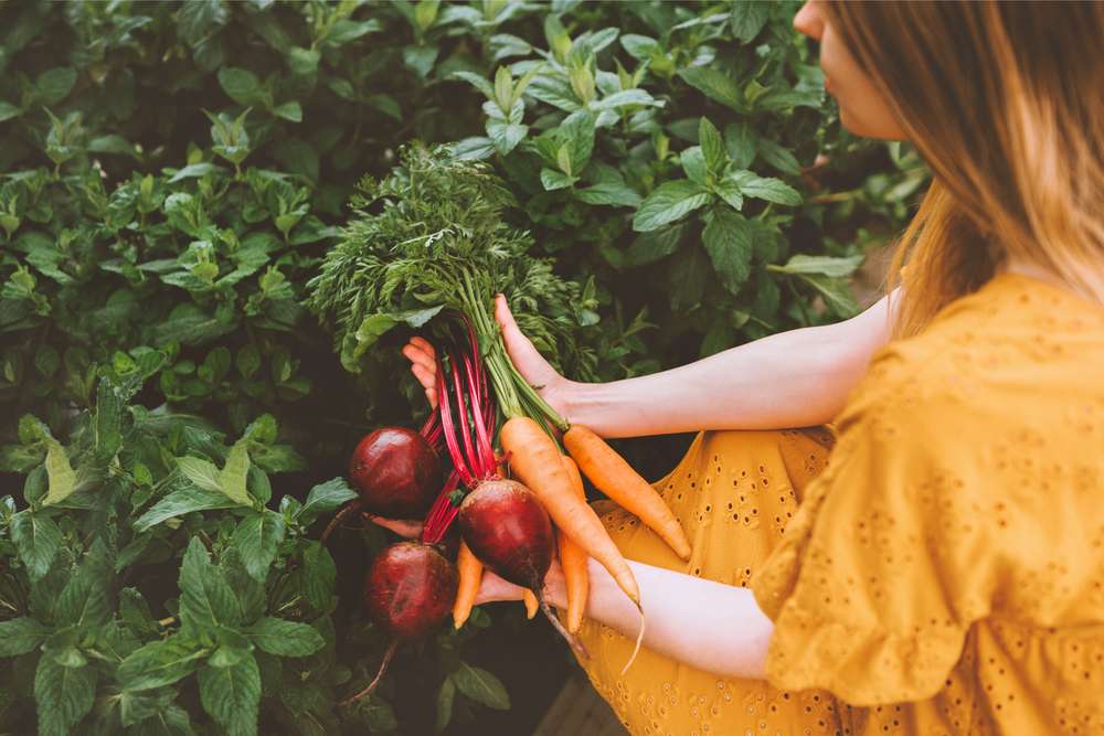 Bukan Hanya Tren, Sustainable Diet Tawarkan Pola Makan Sehat untuk Sayangi Bumi