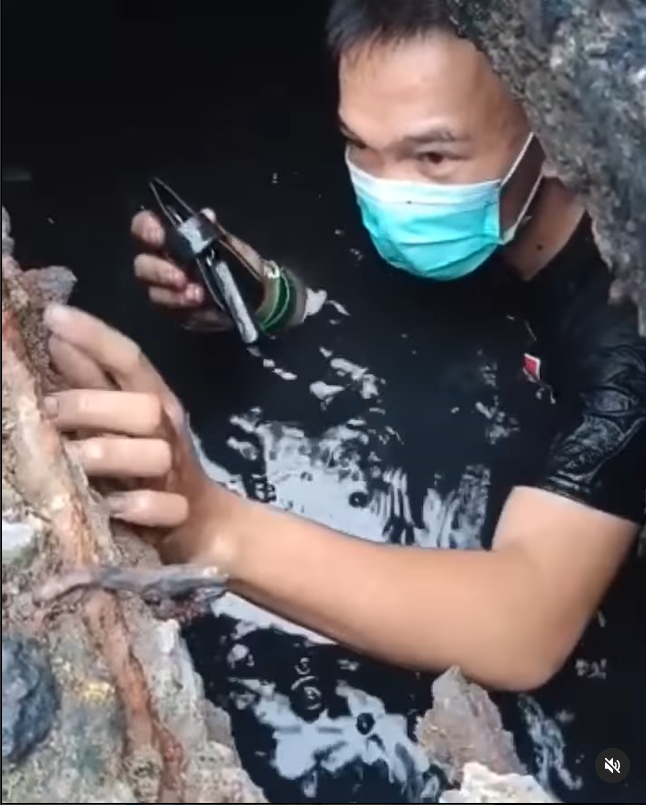 humasjakfire