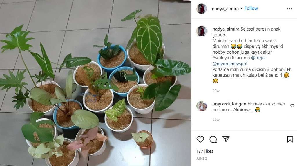 Nadya Almira berkebun