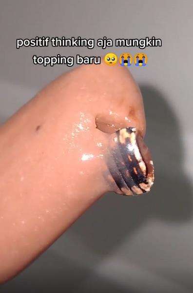Bikin mual dan muntah, makan es krim ada bangkai kecoaknya.