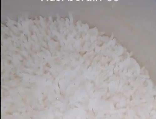 Nasi