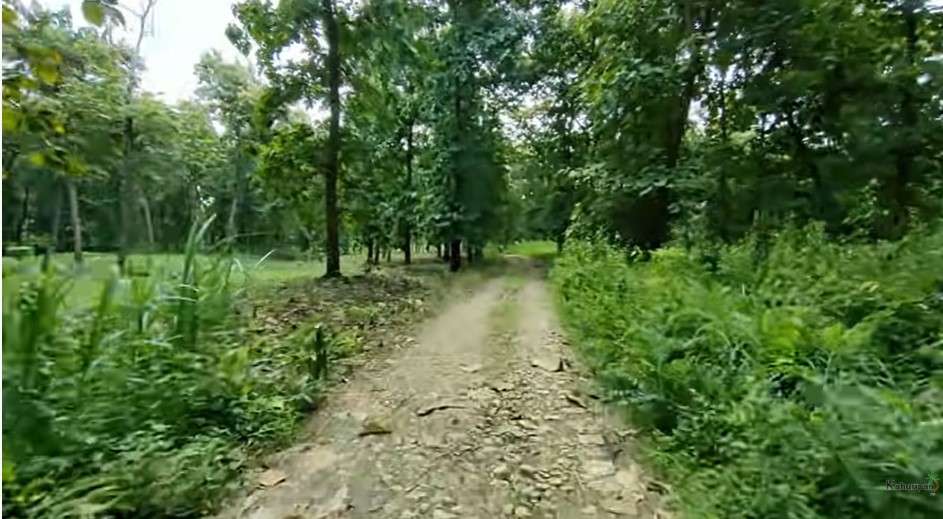 Dusun Seren kabupaten Lamongan Jawa Timur