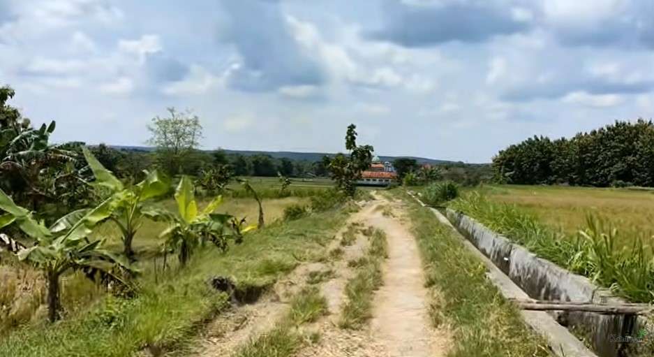 Dusun Seren kabupaten Lamongan Jawa Timur