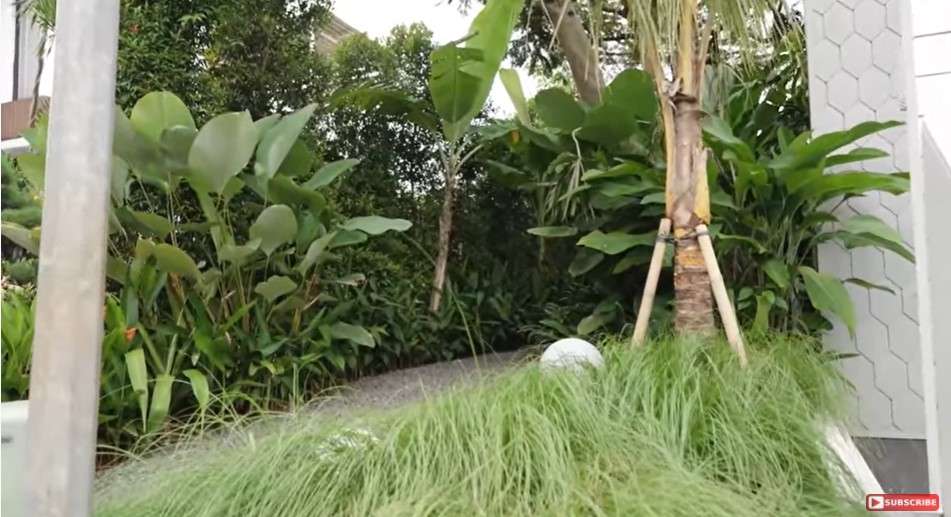Tropical Garden