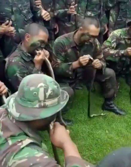 Bikin ngeri aksi survival prajurit TNI minum darah ular.