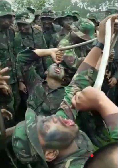 Bikin ngeri aksi survival prajurit TNI minum darah ular.