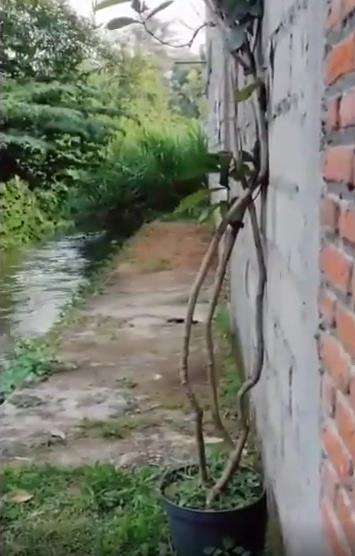Parodi video klip Noah 'Yang Terdalam' versi emak-emak.