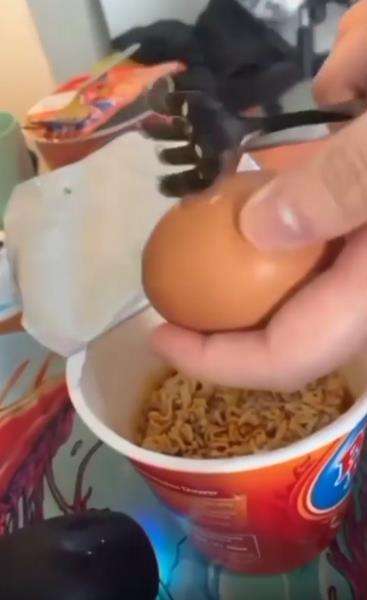 Mau masak mie instan estetik, endingnya malah bikin mual.
