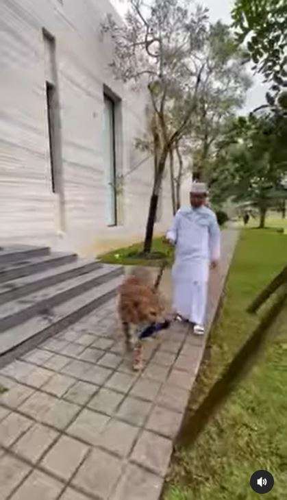 Ustaz Da'ad Latif