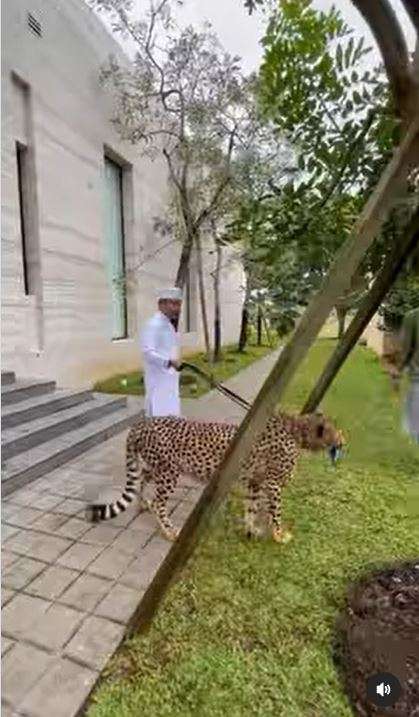 Ustaz Dasad Latif