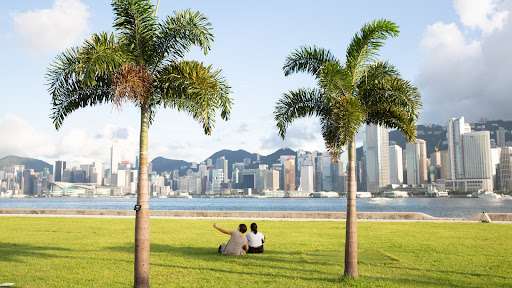 Art Park