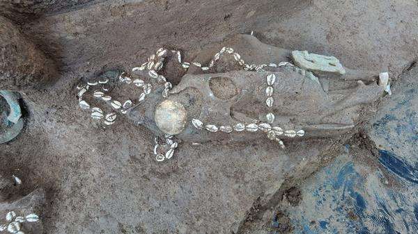 Makam crazy rich berusia 3000 tahun ditemukan di China.