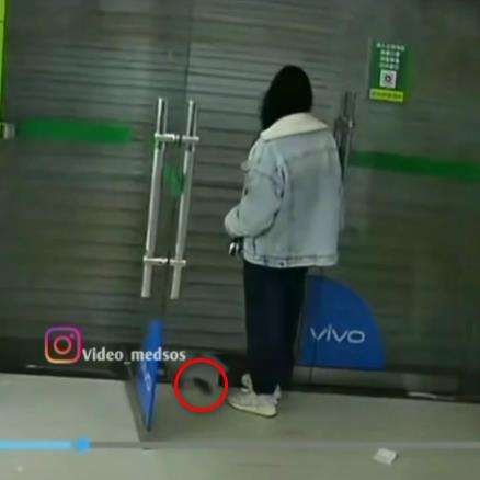 Tikus nggak ada akhlak ikut keluar dari toko dan sembunyi di tubuh wanita ini.