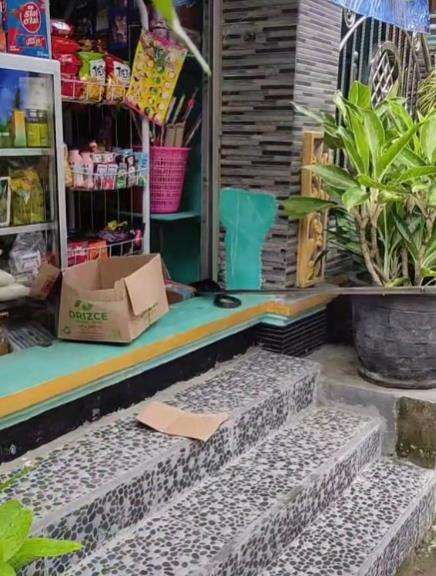 Aksi petugas damkar evakuasi ular dari rumah warga.