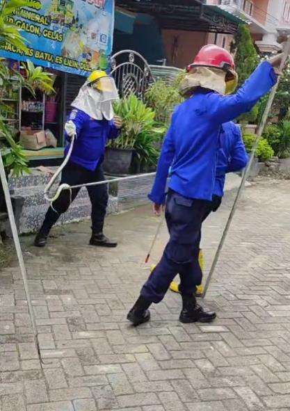 Aksi petugas damkar evakuasi ular dari rumah warga.