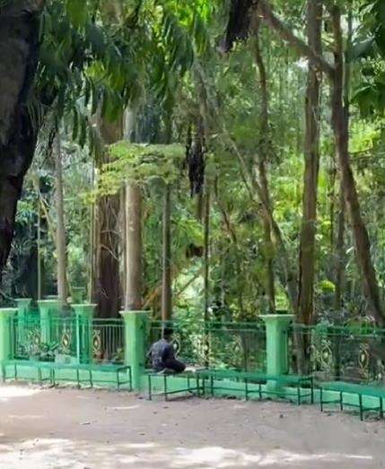 Bapak penjaga Gua Maria Padang Bulan tampak sedang sholat.