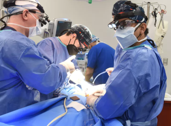 Source Photo: University of Maryland Medical Center