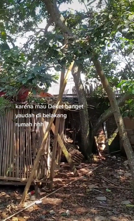 TikTokers Lakukan Maternity Shoot di Dekat Kandang Ayam