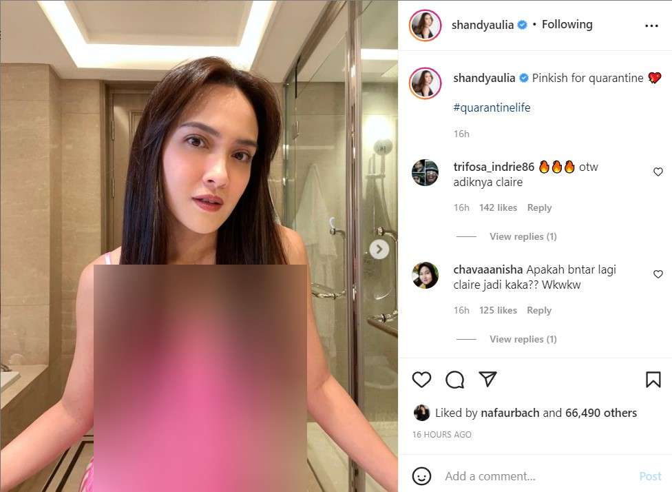 Unggahan Shandy Aulia