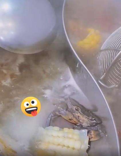 Kepiting santuy nikmati jagung rebus di dekatnya.