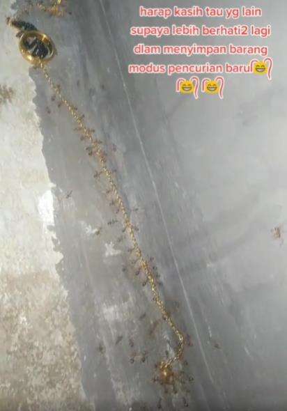 Semut bukannya angkut gula malah gotong kalung kalung emas.