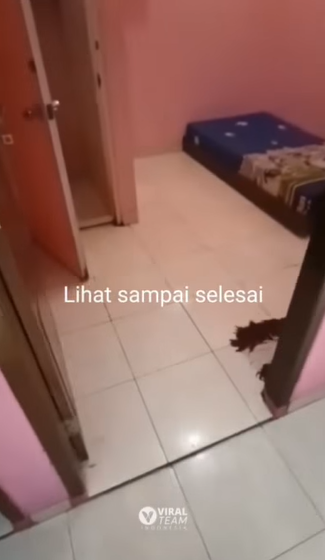 Warganet Perlihatkan Kamar Kos Unik