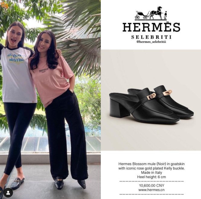 hermes_selebritii