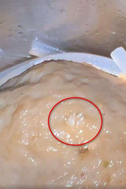 Asyik makan pentol lihat ada butiran putih mirip beras.