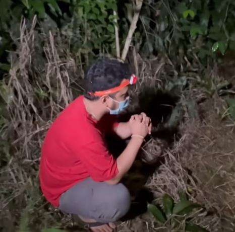 Jelajah lereng Gunung Sunda, Panji temukan ular hijau.