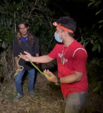 Jelajah lereng Gunung Sunda, Panji temukan ular hijau.