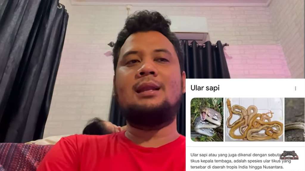 Penjelasan Panji Petualang