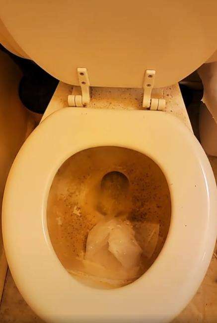 Viral wanita pamer toilet duduk yang selama sebulan belum dibersihkan.