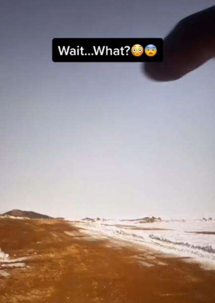 Seram, Google Earth tangkap sosok aneh mirip alien.