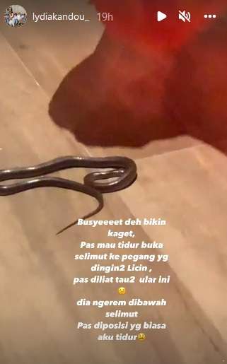 ular