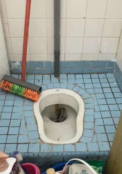 Heboh biawak muncul dari lubang WC.
