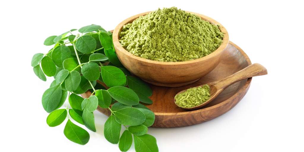 Moringa Moringa