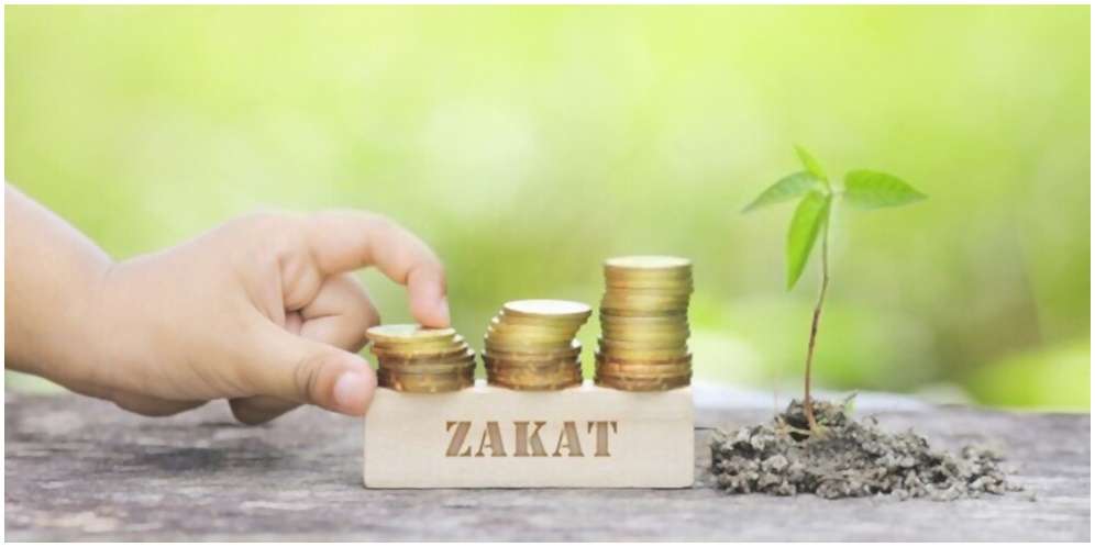 Hukum Zakat Profesi