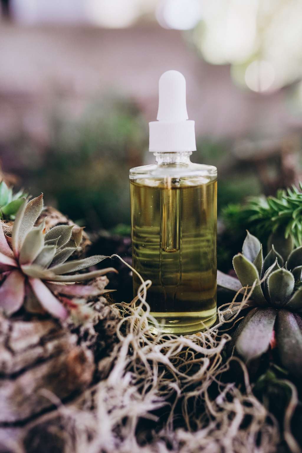Minyak Herbal