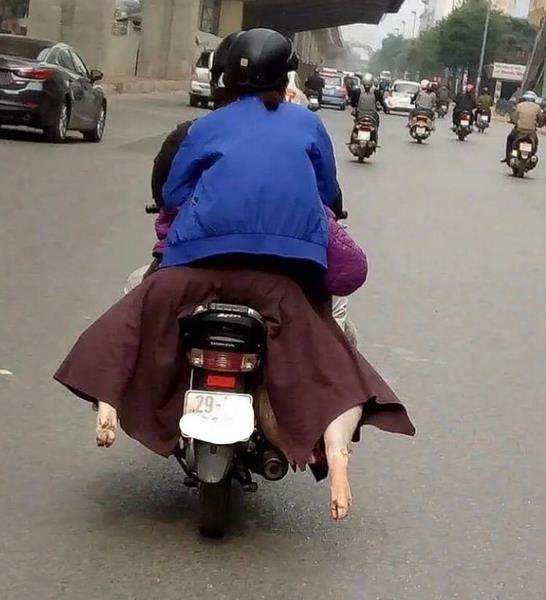 Benda ini sekilas tampak aneh tapi pas didekati bikin ngakak.