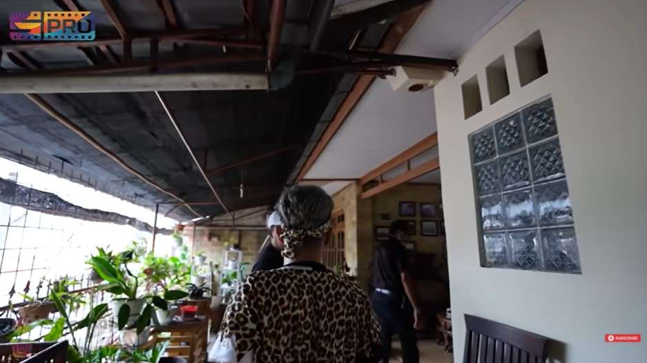 Tanaman hias di depan ruang tamu
