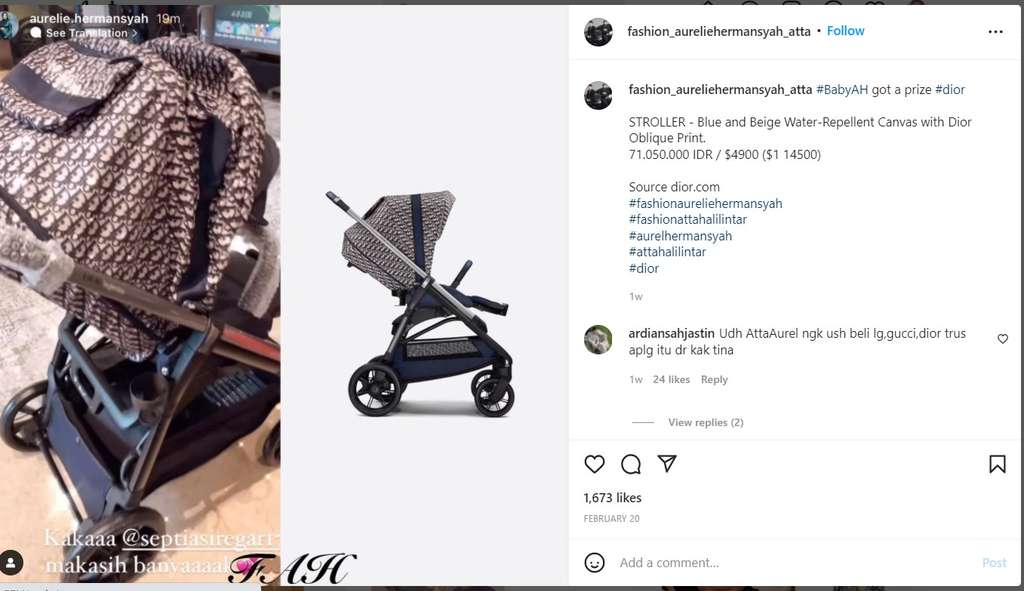Stroller Dior
